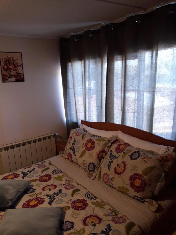 פואנטה ארנס Hostal Torres Del Paine 2 מראה חיצוני תמונה