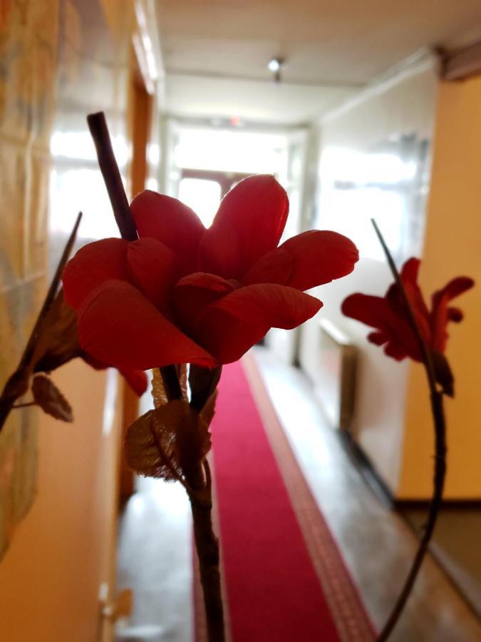 פואנטה ארנס Hostal Torres Del Paine 2 מראה חיצוני תמונה